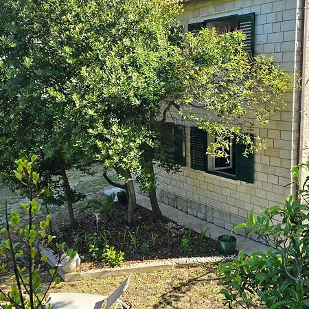 Garden House Тучепи