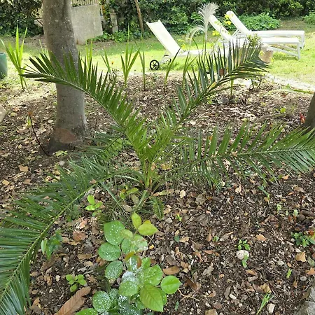 Garden House *