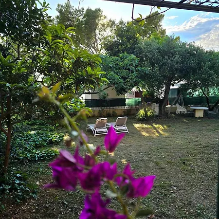 Garden House Vakantiehuis *