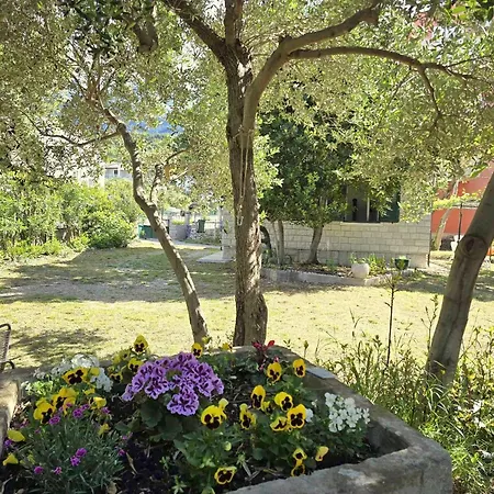 Vakantiehuis Garden House *